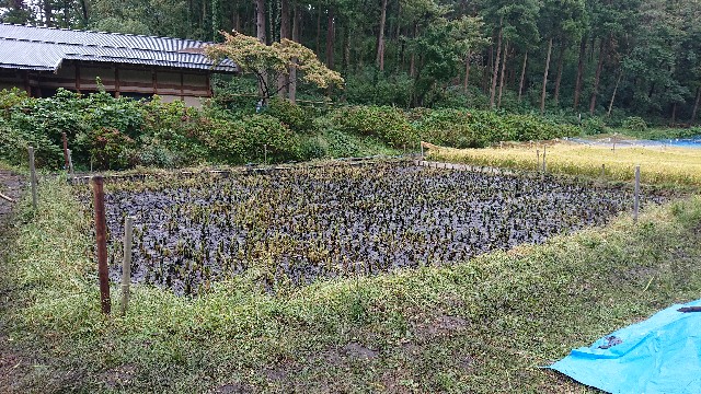 f:id:takashi61:20191208221806j:image f:id:takashi61:20191208221806j:image