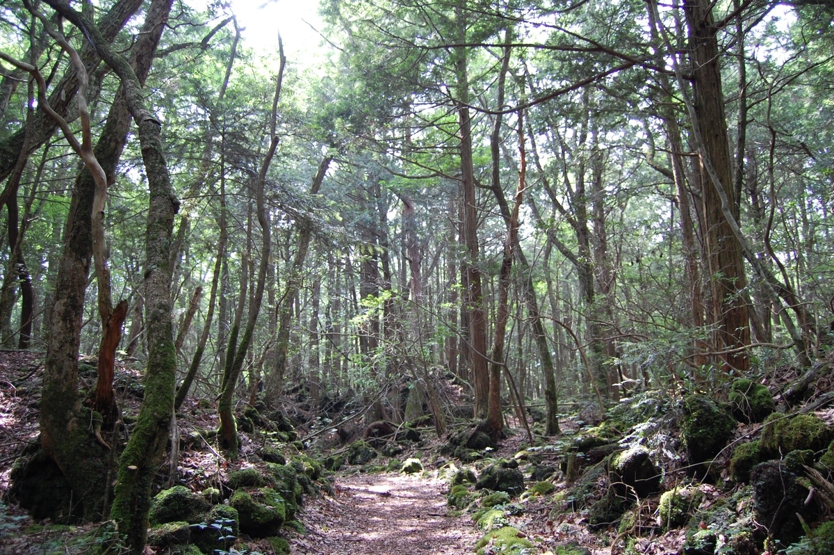 f:id:takashi_tk2001:20210521143052j:plain