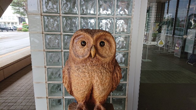 f:id:takashi_tk2001:20210606184530j:image