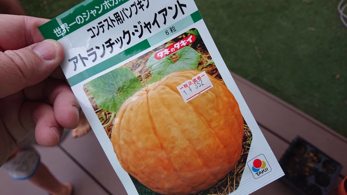 f:id:takashi_tk2001:20210612215039j:plain