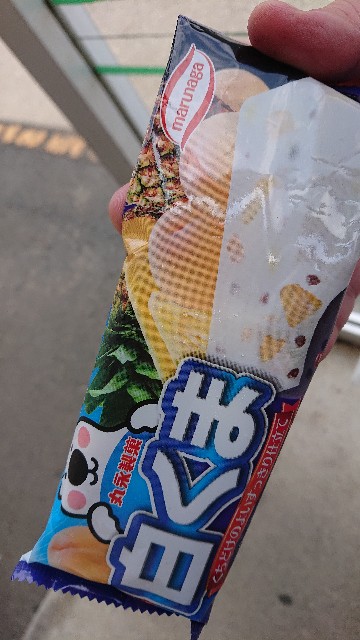 f:id:takashi_tk2001:20210713074431j:image