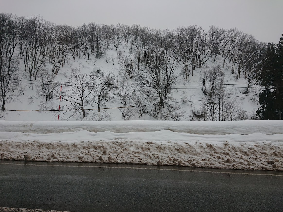 f:id:takashi_tk2001:20220110212914j:plain