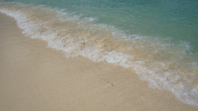 f:id:takashi_tk2001:20220831073459j:image f:id:takashi_tk2001:20220831073459j:image