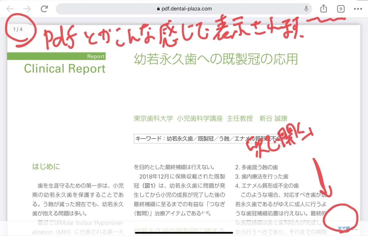 f:id:takashineozeon:20210515154659j:plain