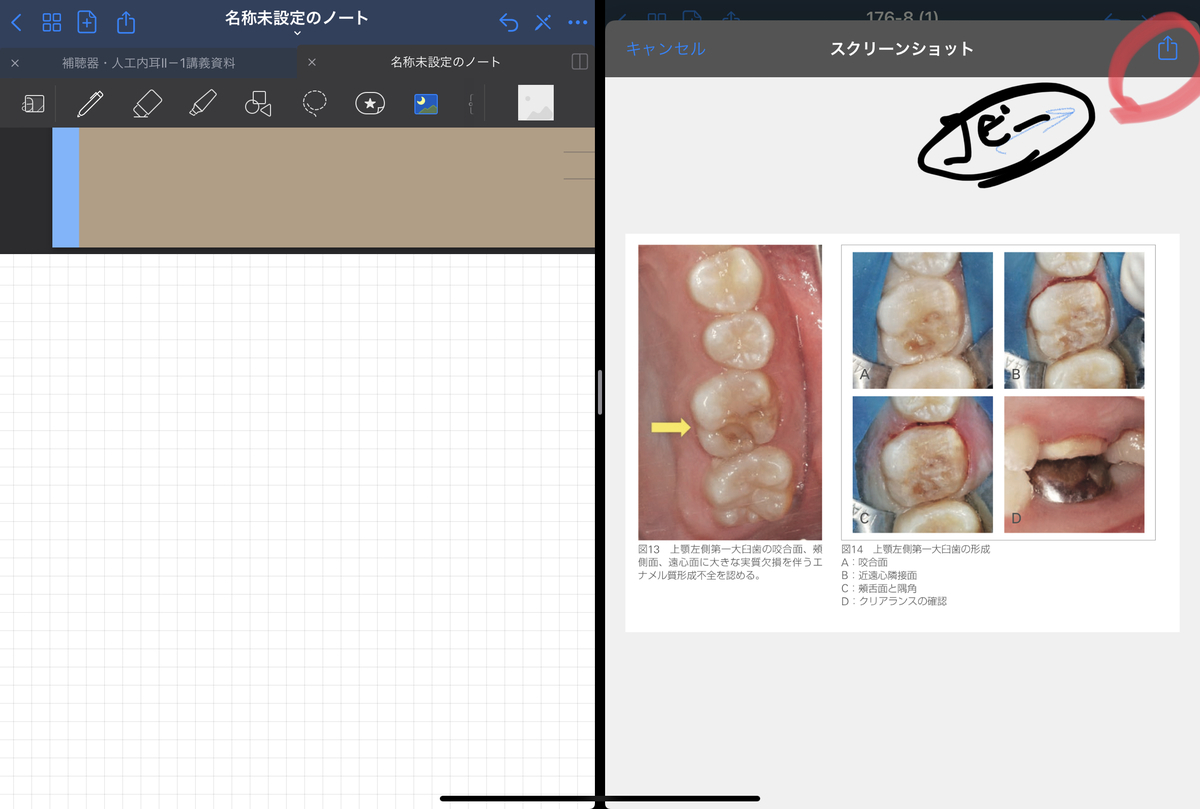 f:id:takashineozeon:20210515213800j:plain
