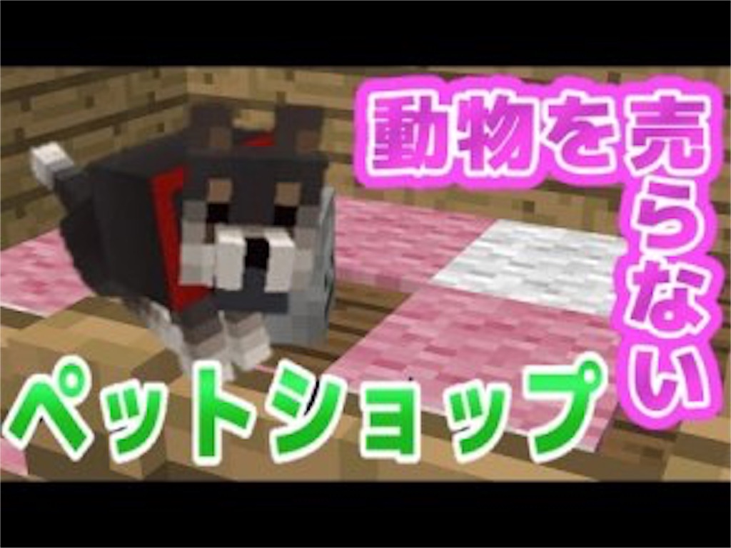 ペットを売らないペットショップが新しくできます ペットの売買がない日本へ 澤木のブログ ペットを売らないペットショップが新しくできます ペットの売買がない日本へ 澤木のブログ