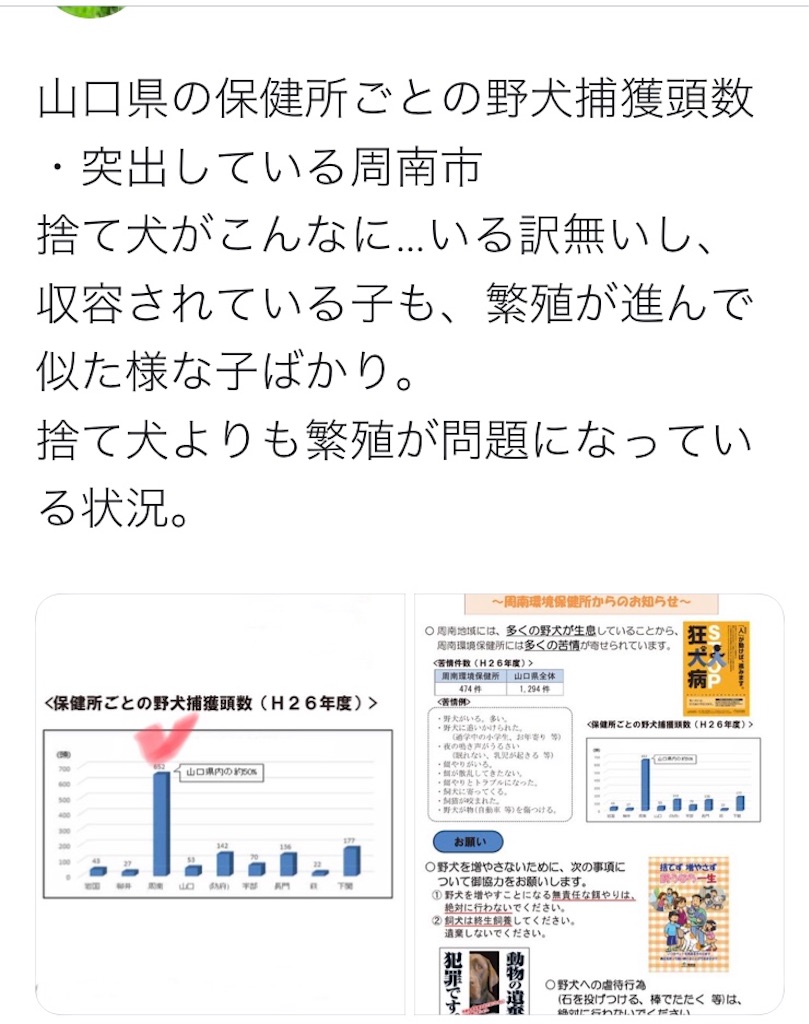 無責任な餌やりが滅びれば、犬猫の未来は明るい - ペットの売買がない 