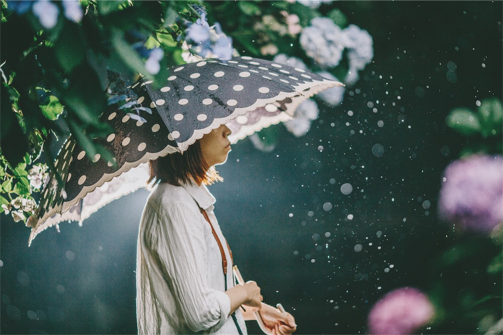 f:id:takashoooo:20180703181004j:image f:id:takashoooo:20180703181004j:image