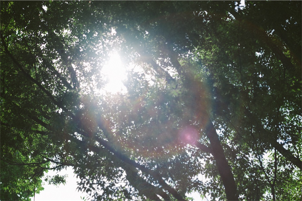 f:id:takashoooo:20180721155433j:image f:id:takashoooo:20180721155433j:image