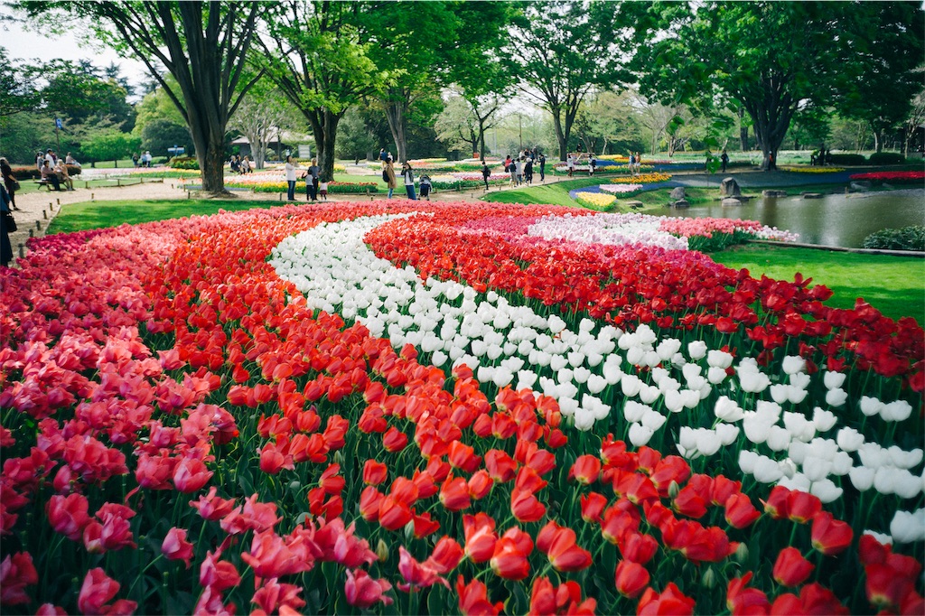 f:id:takashoooo:20191019235823j:image f:id:takashoooo:20191019235823j:image