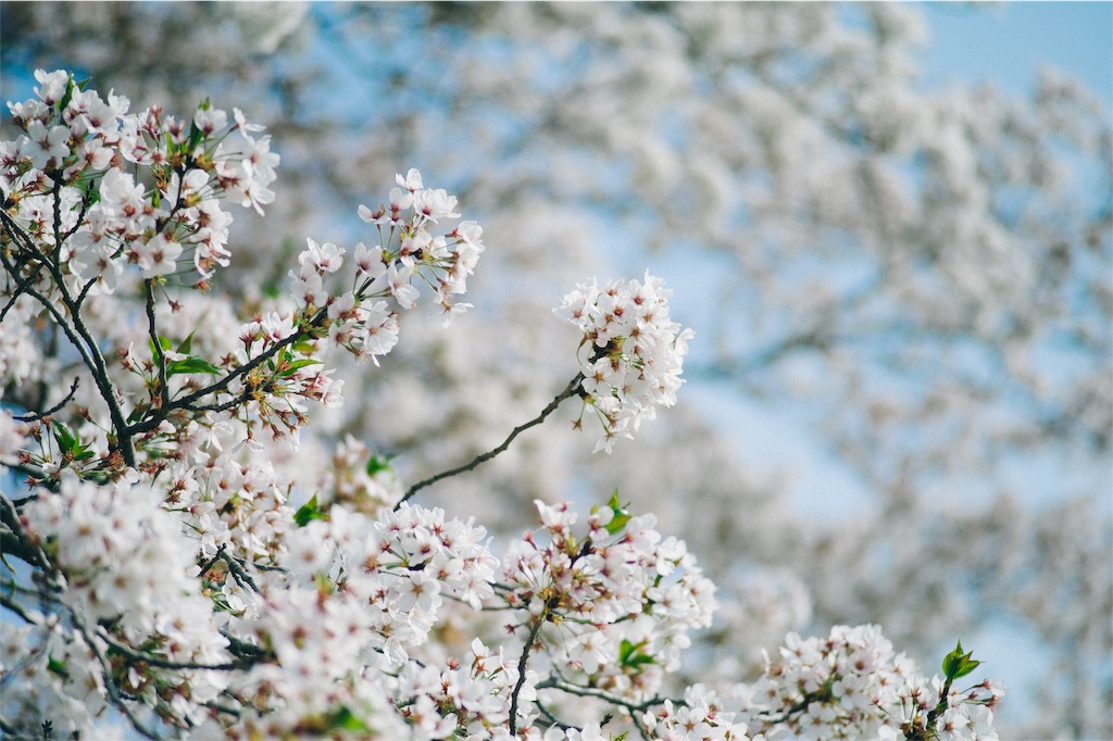 f:id:takashoooo:20191020002748j:image f:id:takashoooo:20191020002748j:image