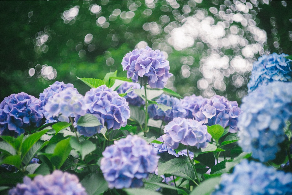 f:id:takashoooo:20191020003137j:image f:id:takashoooo:20191020003137j:image