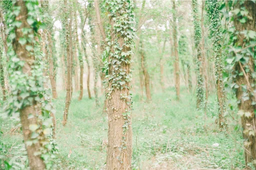 f:id:takashoooo:20191020004701j:image f:id:takashoooo:20191020004701j:image