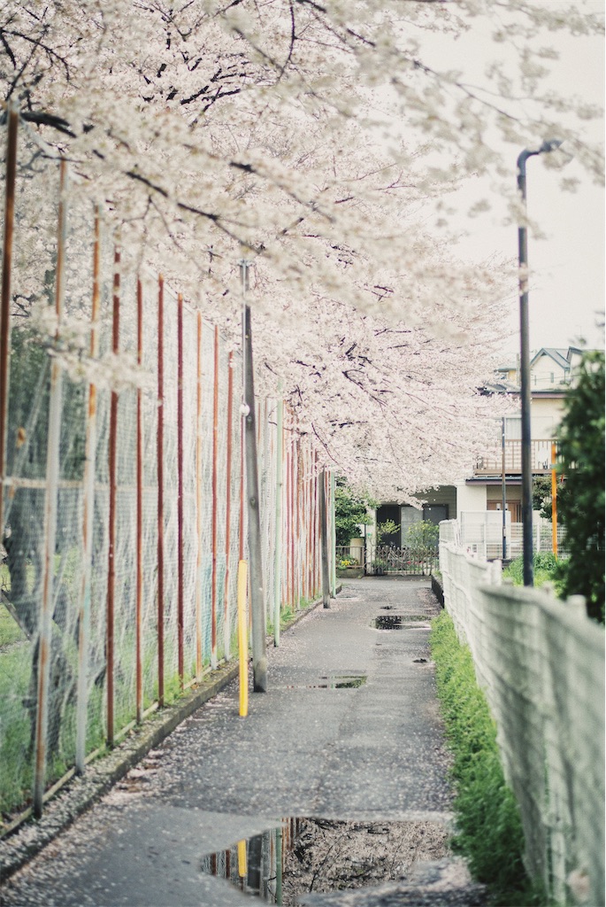 f:id:takashoooo:20250215215340j:image f:id:takashoooo:20250215215340j:image