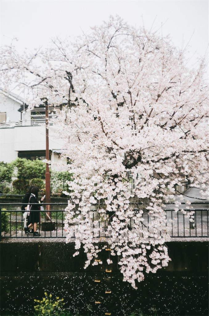 f:id:takashoooo:20250215215355j:image f:id:takashoooo:20250215215355j:image