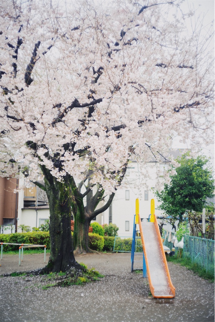f:id:takashoooo:20250215215446j:image f:id:takashoooo:20250215215446j:image