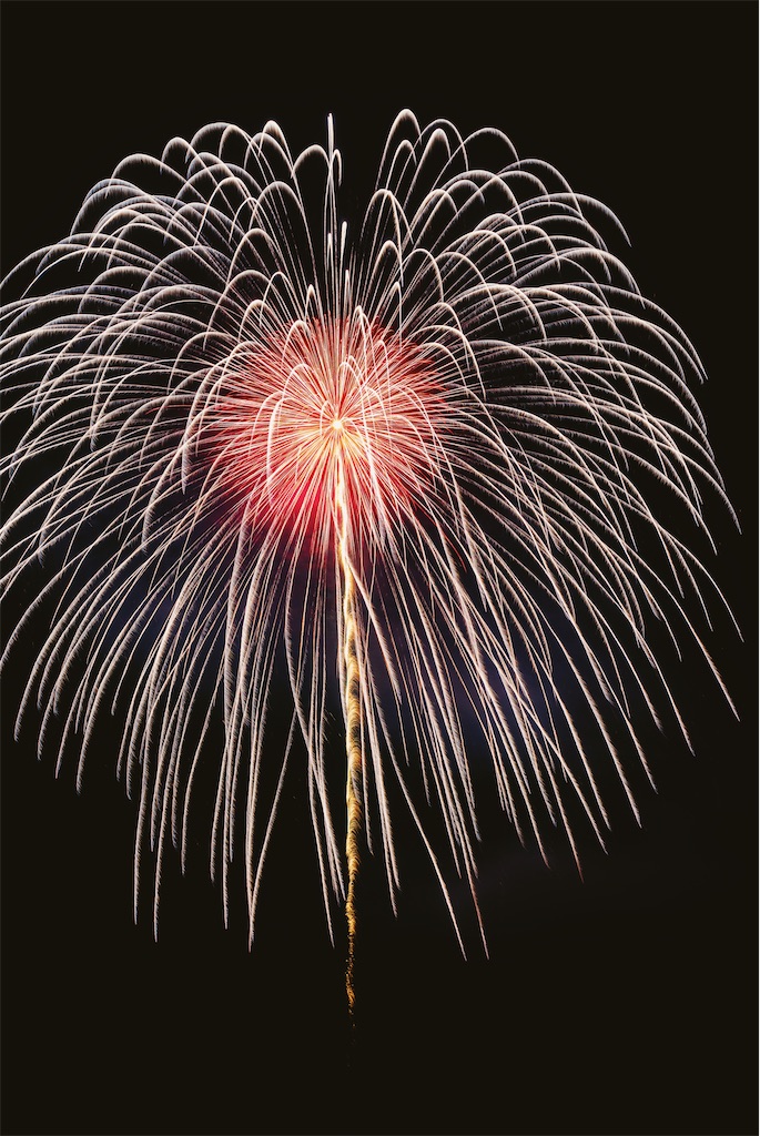 f:id:takashoooo:20250215215613j:image f:id:takashoooo:20250215215613j:image