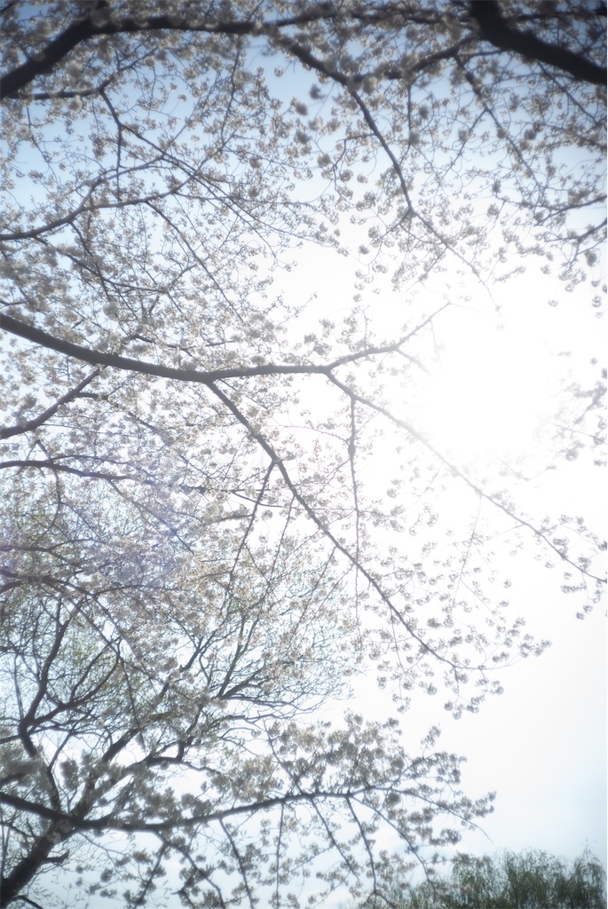 f:id:takashoooo:20250215215737j:image f:id:takashoooo:20250215215737j:image