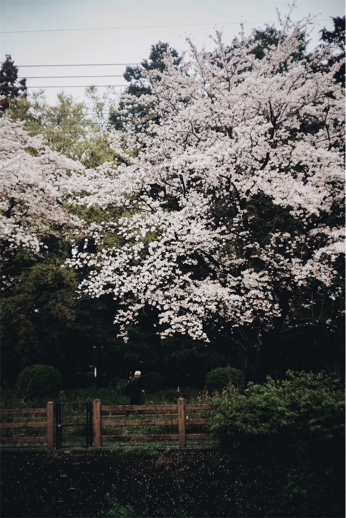 f:id:takashoooo:20250215215745j:image f:id:takashoooo:20250215215745j:image