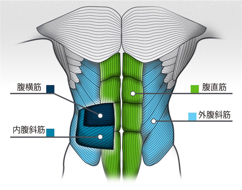 f:id:takashou13:20210620002253j:image f:id:takashou13:20210620002253j:image