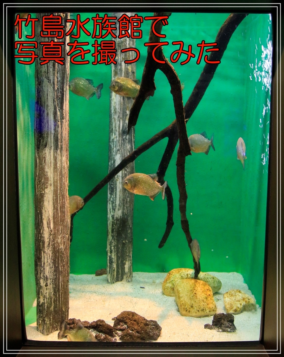 f:id:takataka2743:20191112232215j:plain