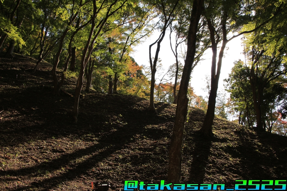 f:id:takataka2743:20191128230943j:plain