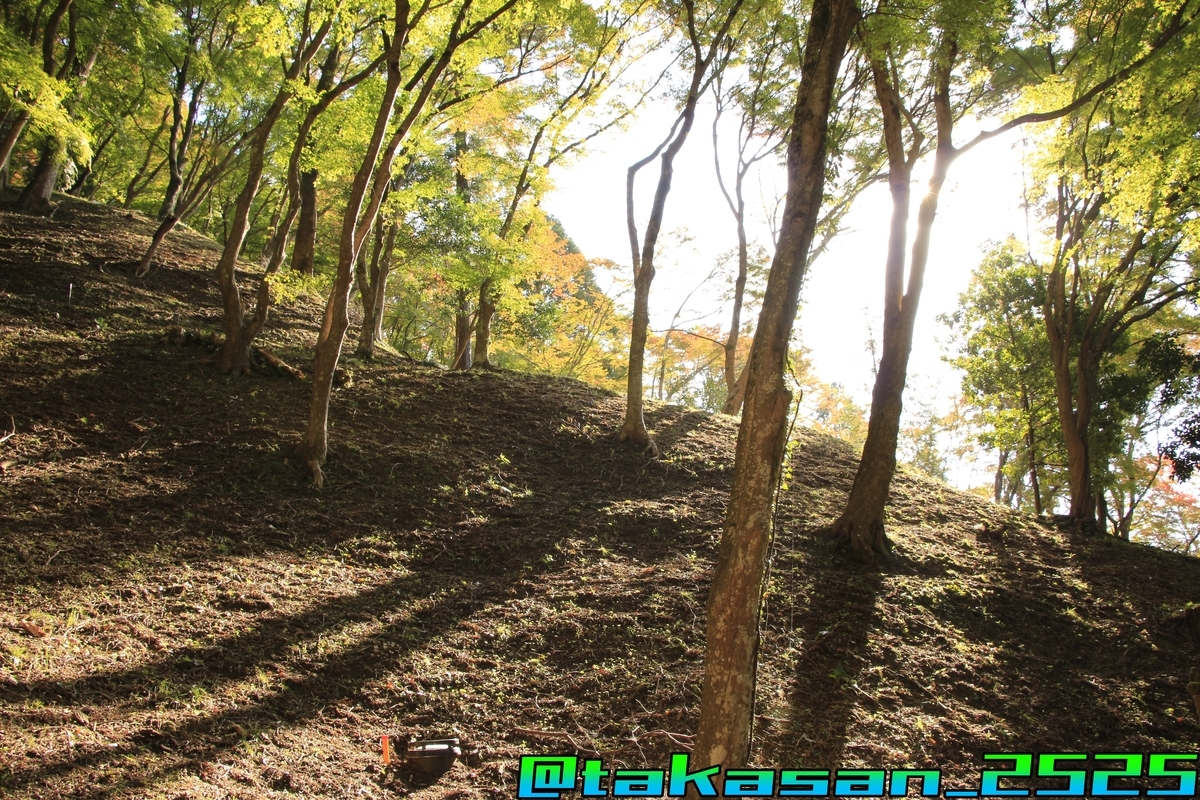 f:id:takataka2743:20191128230958j:plain