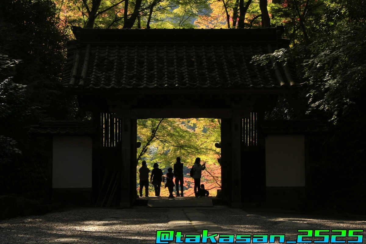 f:id:takataka2743:20191128234557j:plain