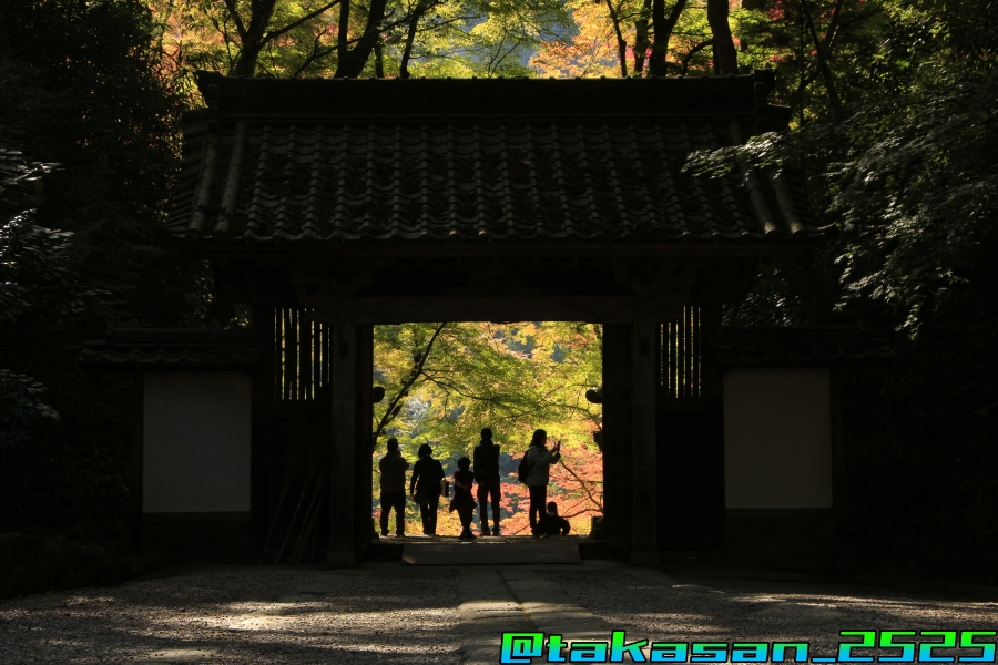 f:id:takataka2743:20191201170957j:plain