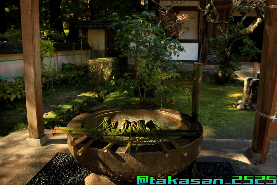 f:id:takataka2743:20191201171001j:plain