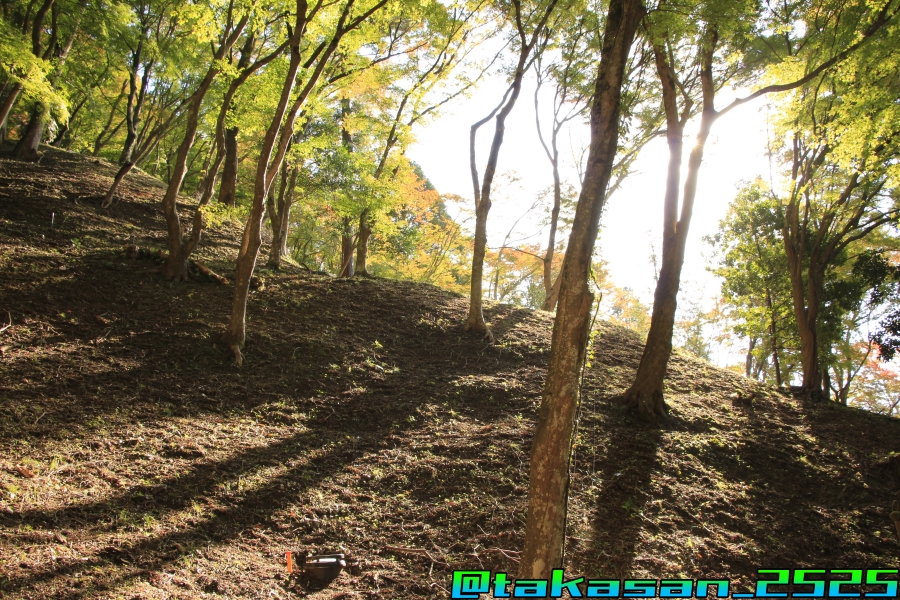 f:id:takataka2743:20191201174545j:plain