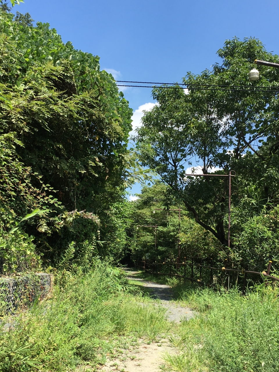 f:id:takatakamanbou:20160821132432j:plain f:id:takatakamanbou:20160821132432j:plain