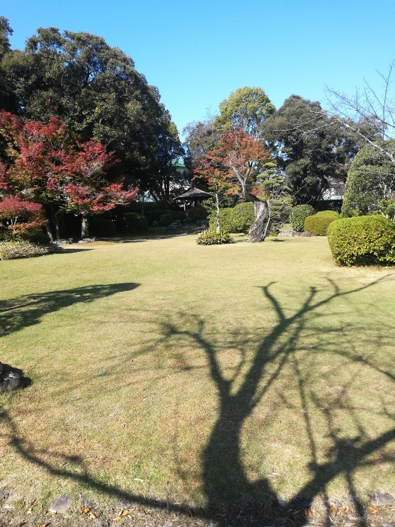 有楽苑の日本庭園