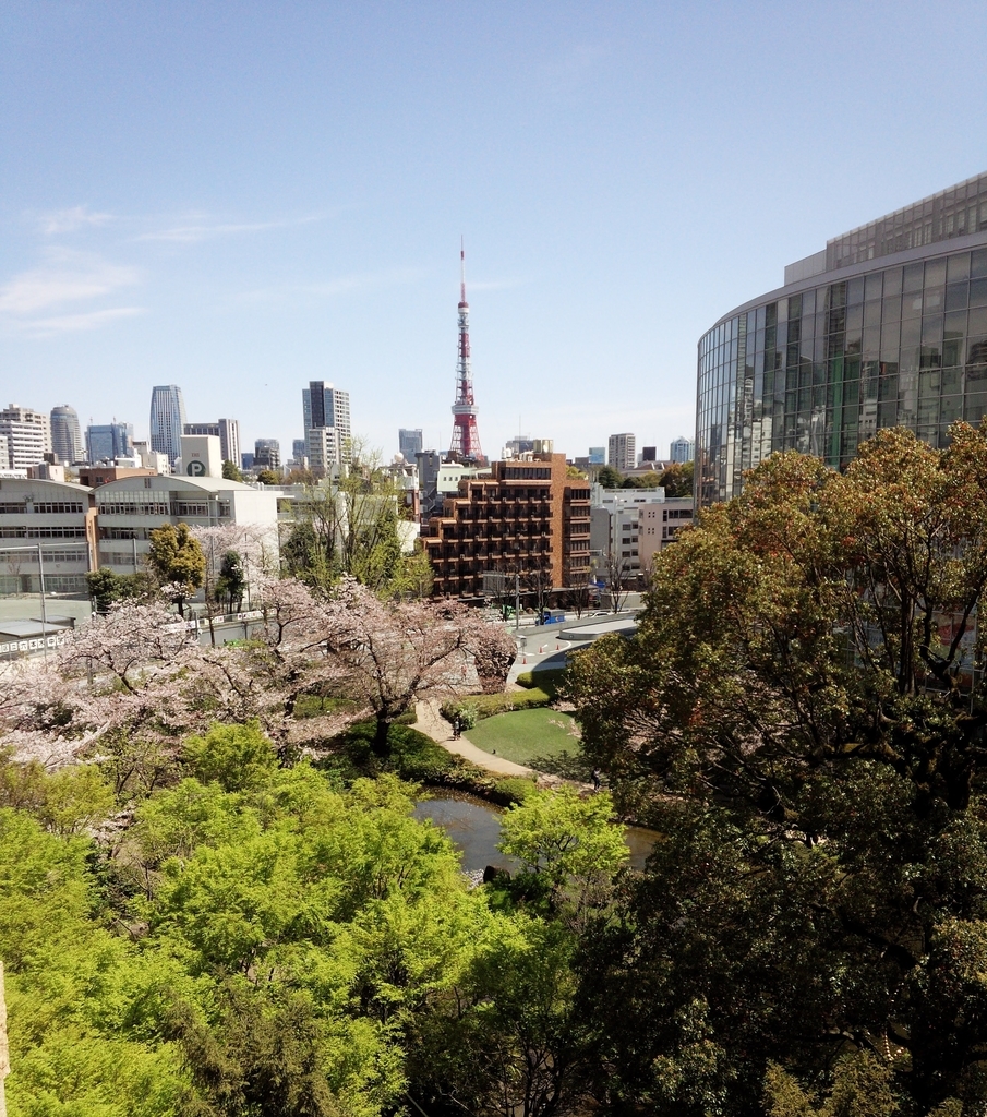 六本木ヒルズからの素晴らしい風景に癒されます