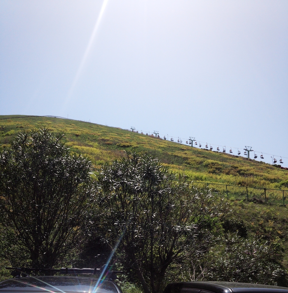 大室山の山頂を目指してリフトで行ってみよう!