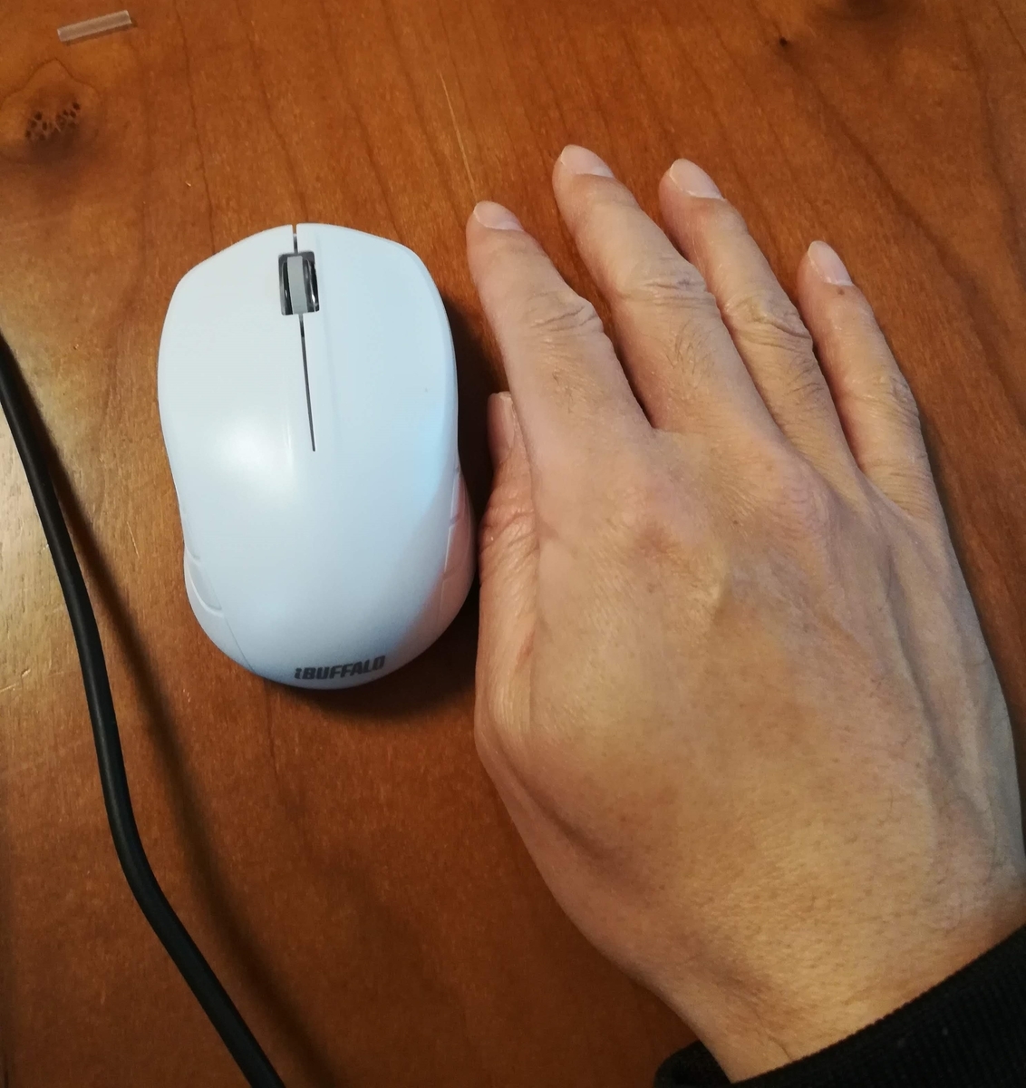 手と比べるとコンパクトさがよくわかります。