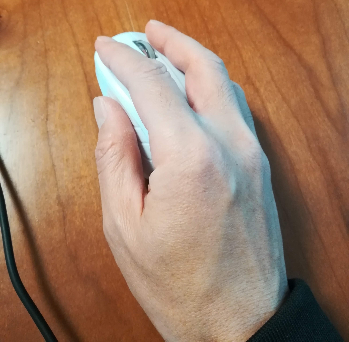 手をのせるとマウスはすっぽり隠れてしまう