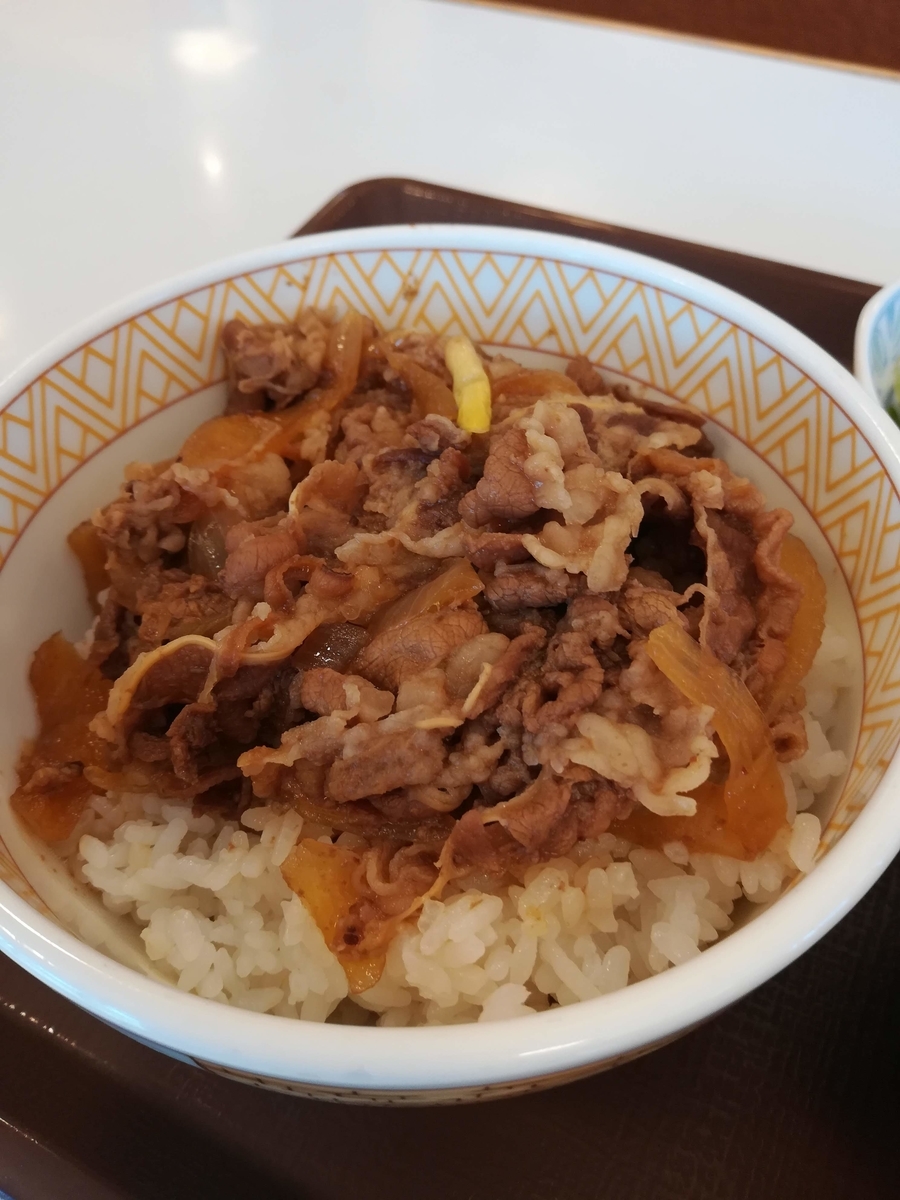 すきやの牛丼はノーマルでもおいしいです！