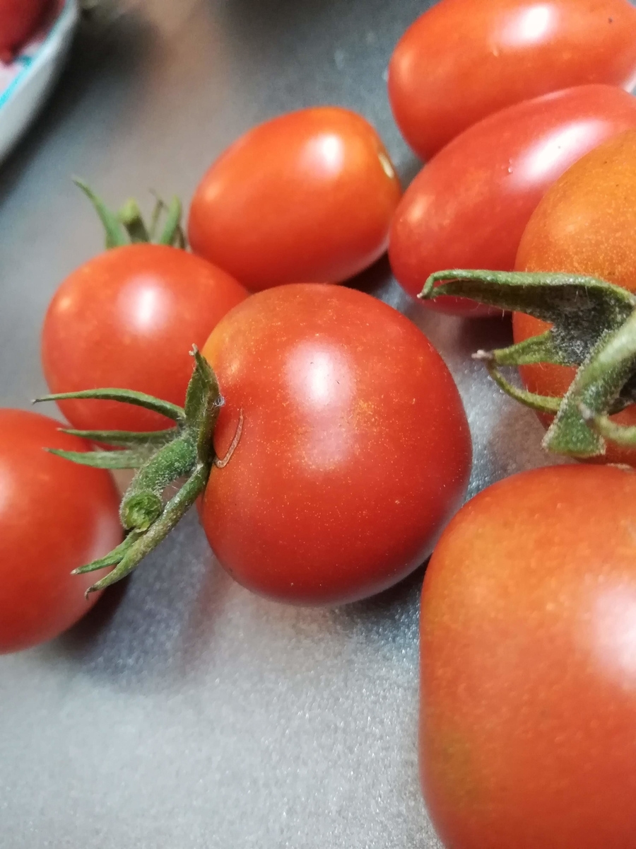 食べごろはヘタのまわりまで赤くなったら!