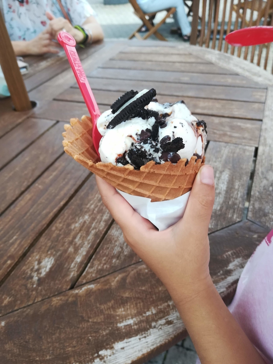 アイスの中はチョコ味だらけ