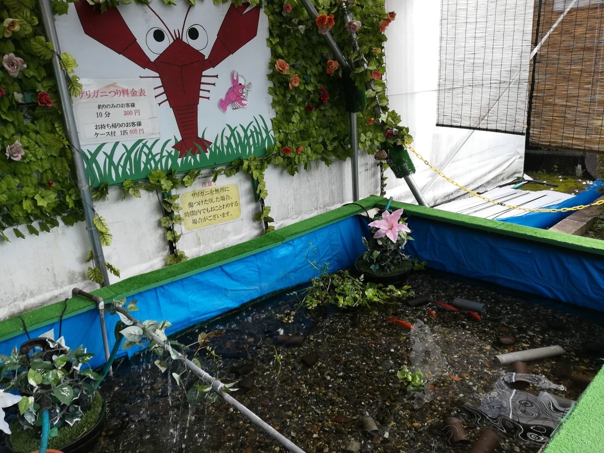 ザリガニや金魚を釣ってみよう!