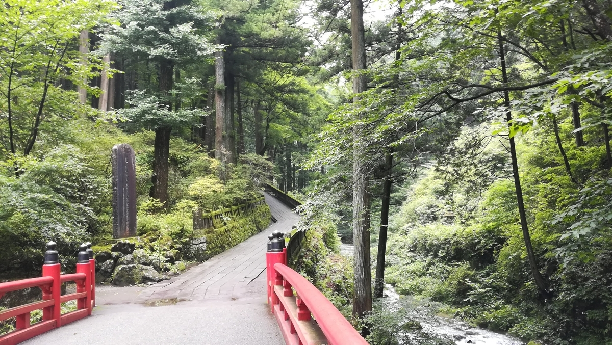 さあ!頑張って歩きましょう!