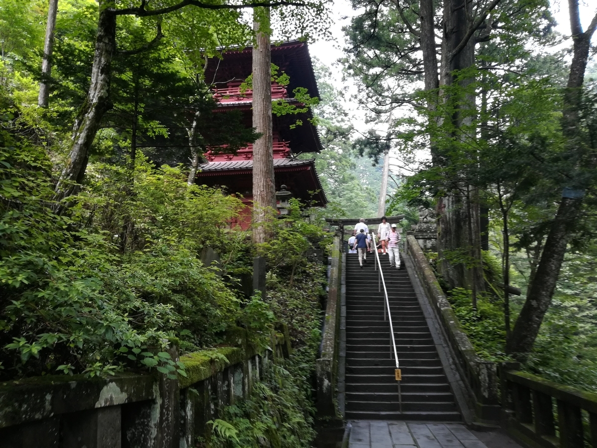 ここらへんだだいたい半分以上来た感じです