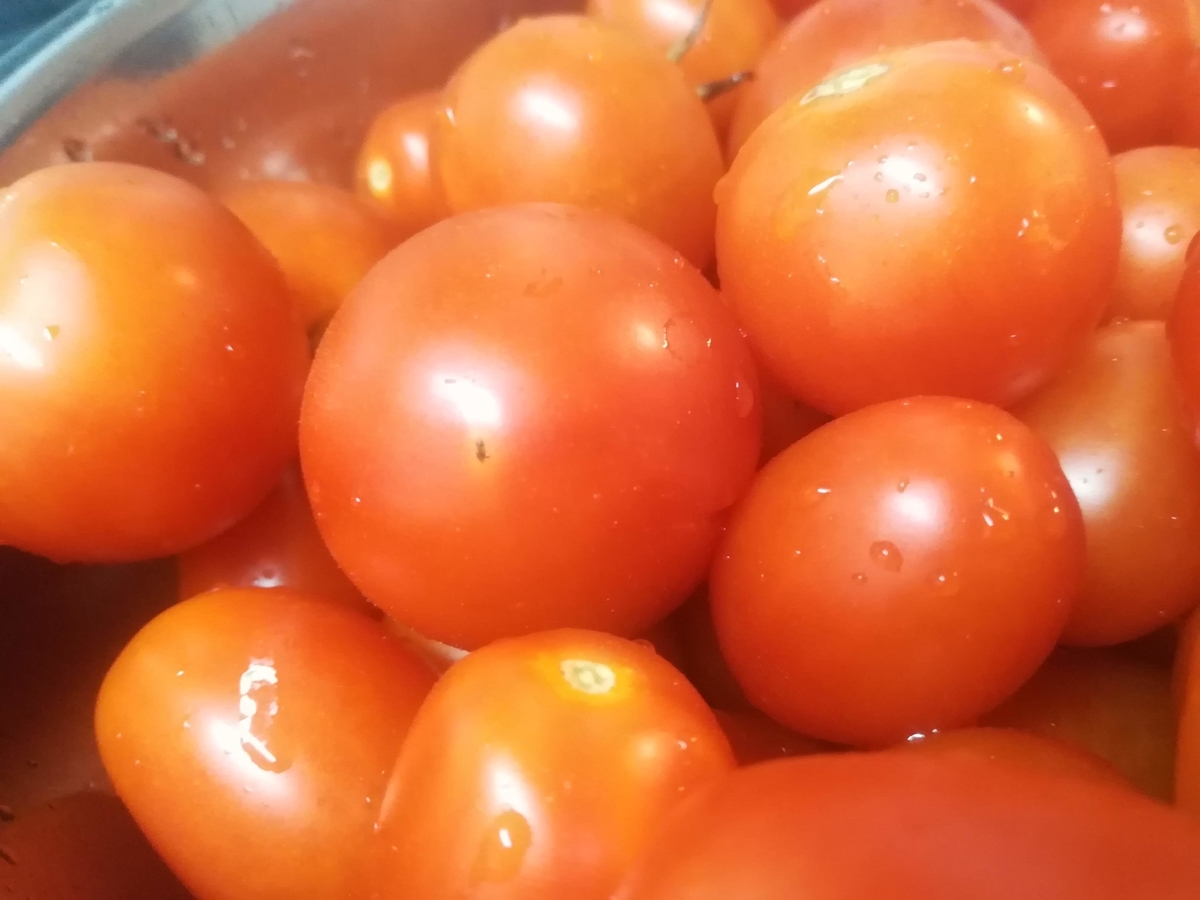 最後はちょっと黄色っぽくなってしまいましたが食べるととってもおいしいです！