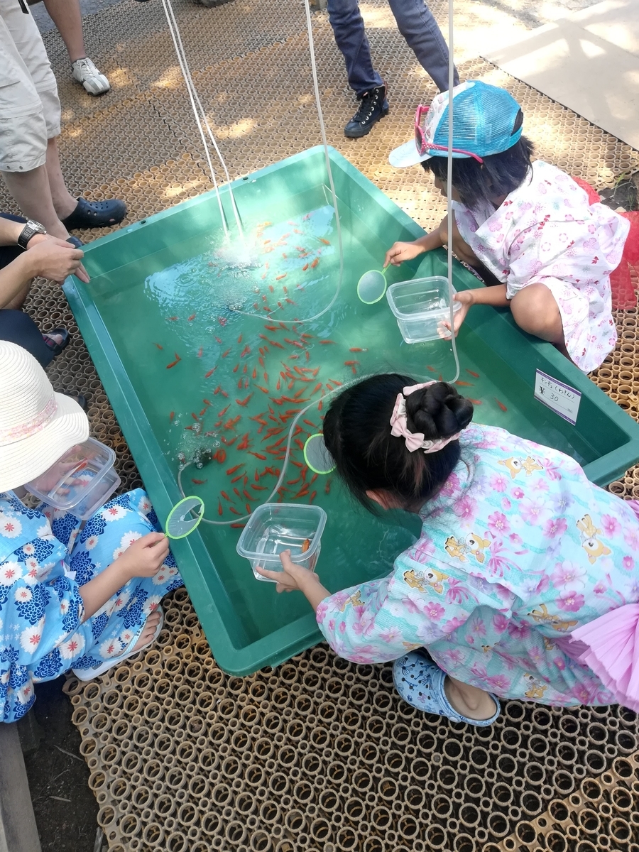 金魚すくいはなかなか難しい!