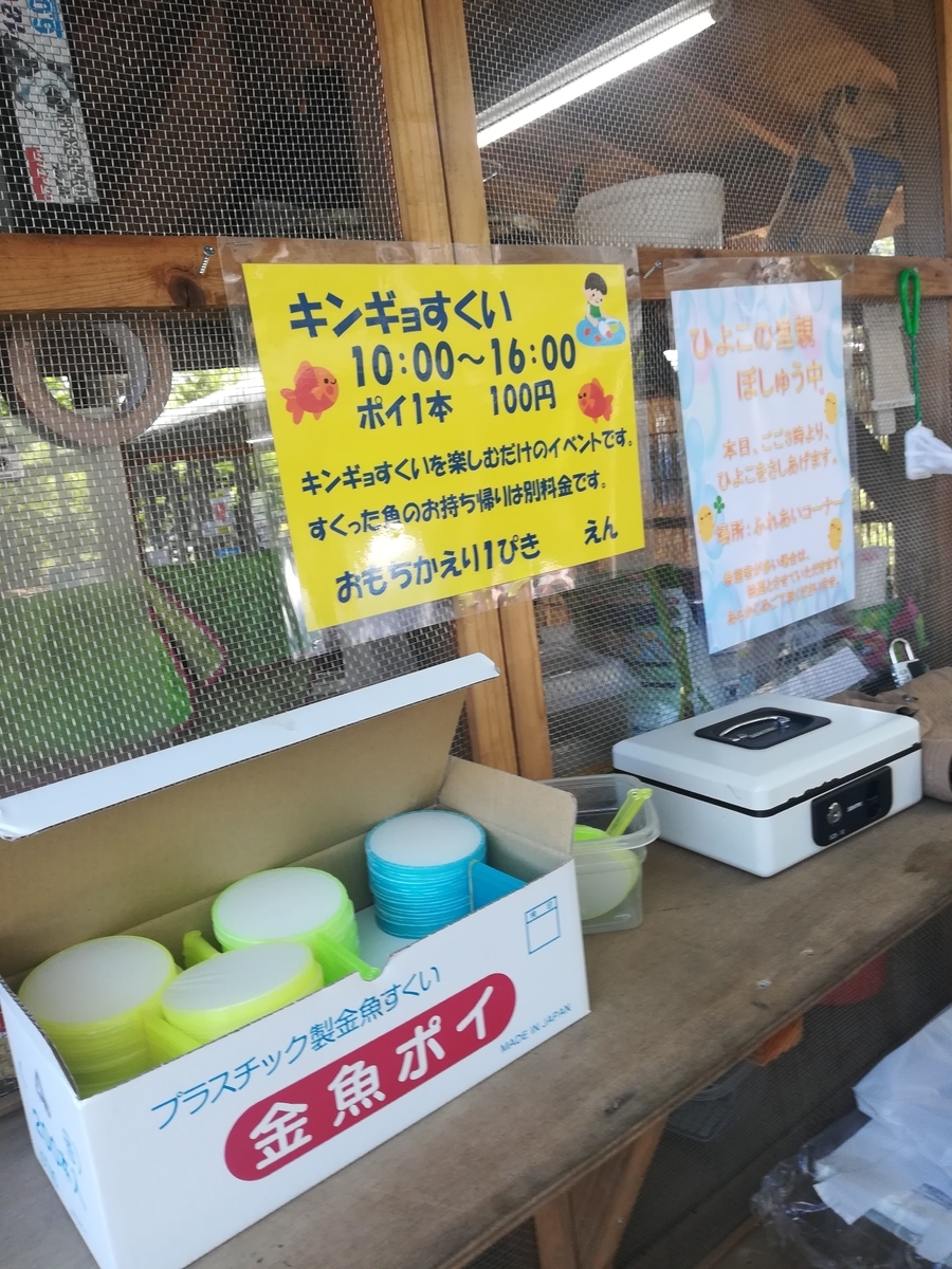 金魚すくいにチャレンジしよう!