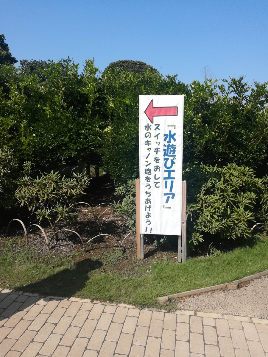 あしかがフラワーパークの水遊びエリアが楽しい!
