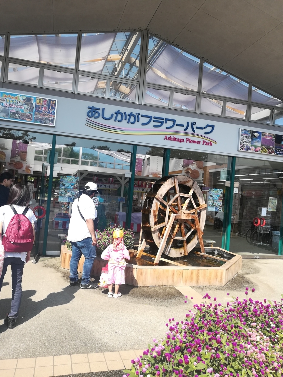 夏のあしかがフラワーパークが最高です!