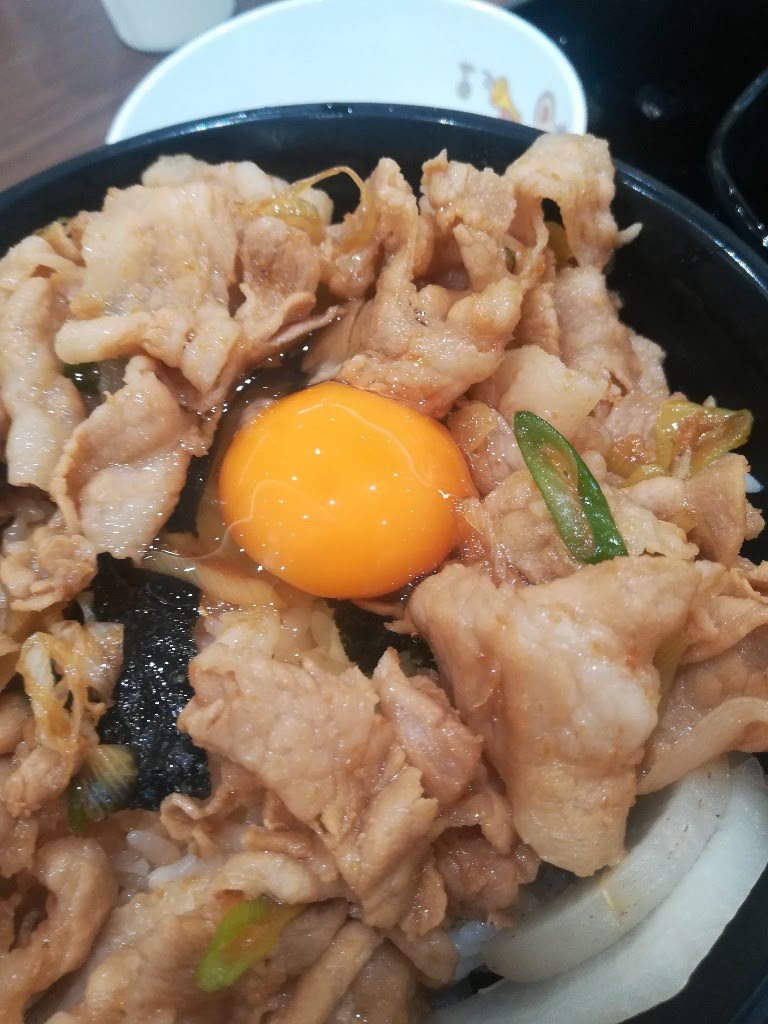 これがすた丼の完全体です！