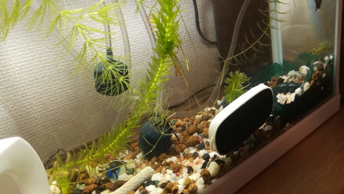 ガラスをキレイにしてみましょう!